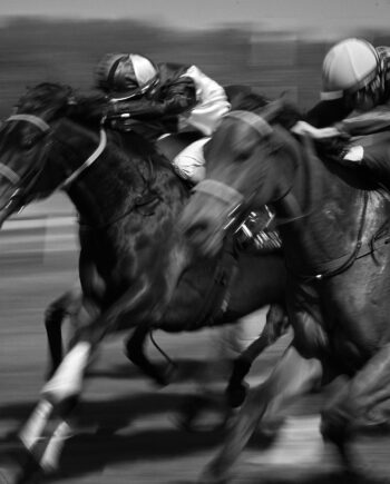 Horse Race Af Jakob Evers