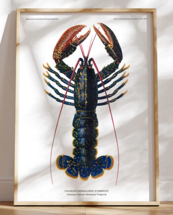 Hummer Plakat
