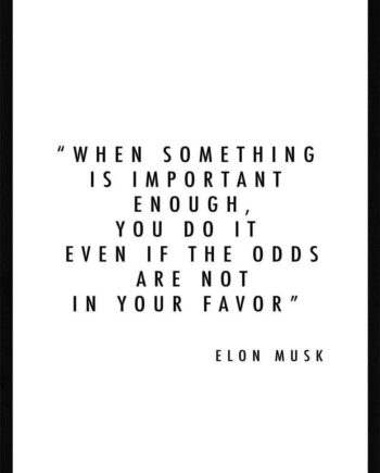 Important Enough Elon Musk Plakat