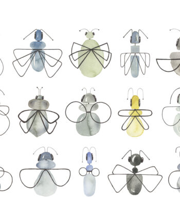 Insecta Af Lise Søgaard
