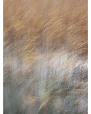K6h2488 Af Morten Lundrup