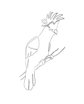 Kakadu Af Pluma Posters