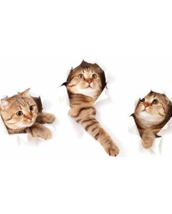 Katte Wallsticker  På Vej Igennem Væggen