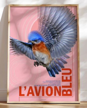 Avion Bleu Den Blå Flyver