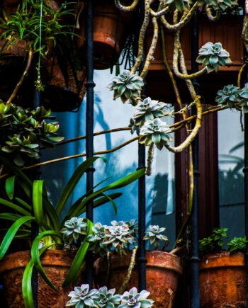 Madrid Balcony Af Kirsten Stigsgaard