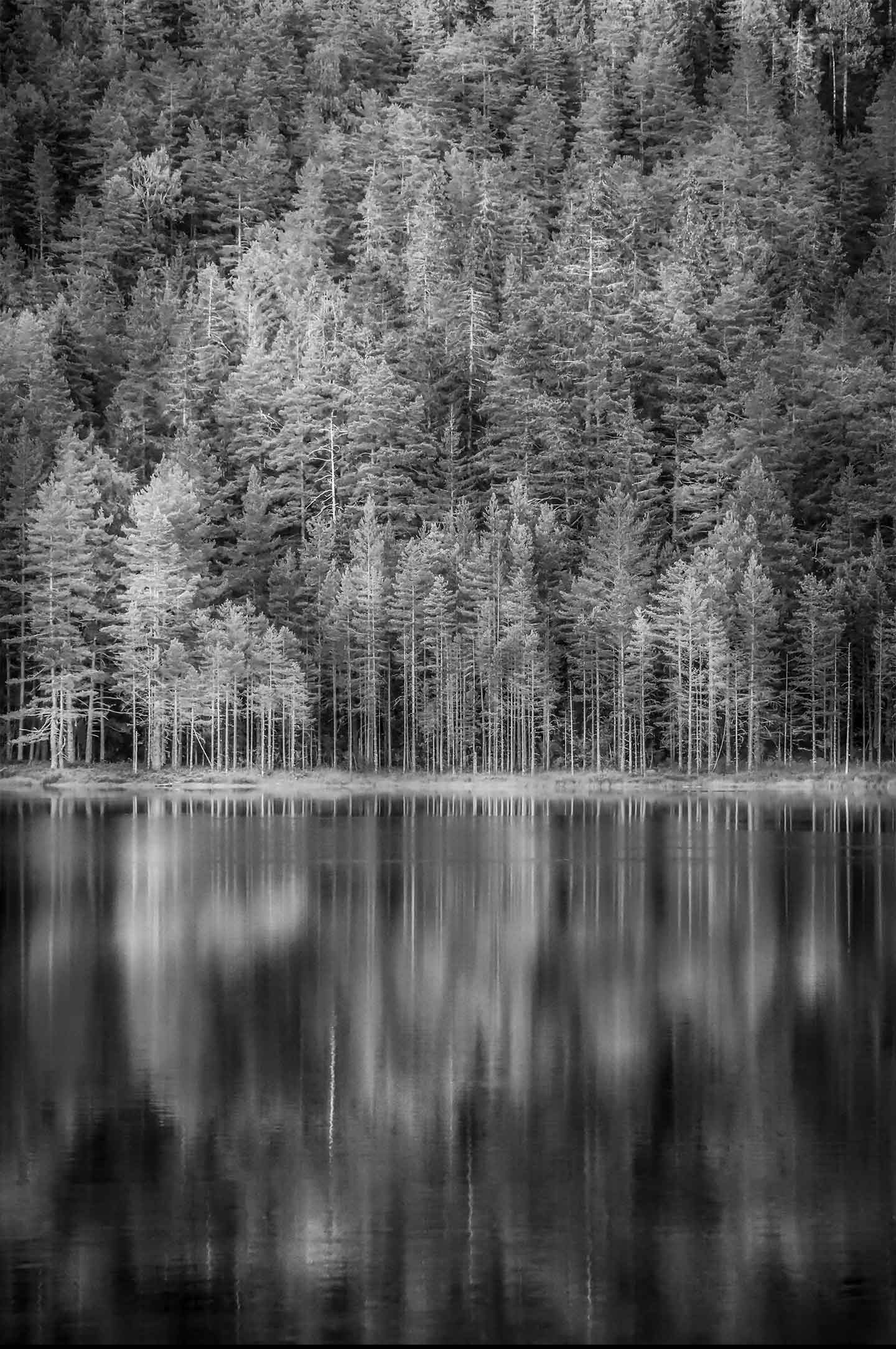 Norwegian Woods Af Kenneth Bagge
