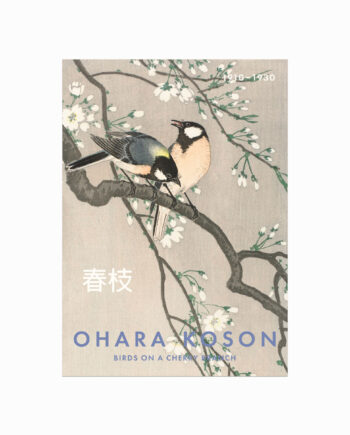 Ohara Koson Plakat  Birds On   Cherry Branch