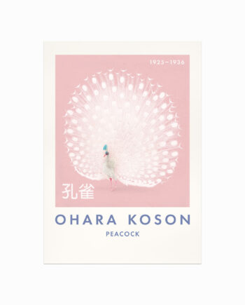 Ohara Koson Plakat  Påfugl  Pink