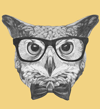 Ordinary Owl Af Illux
