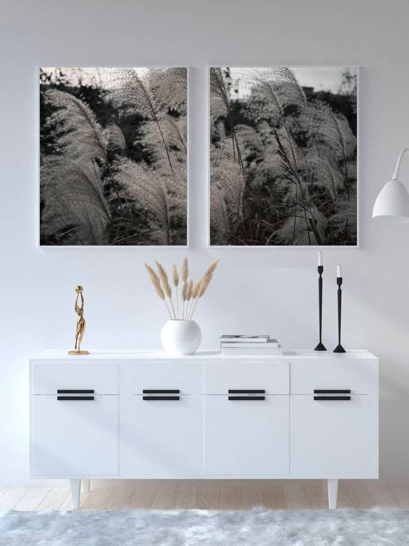 Pampas Plakat