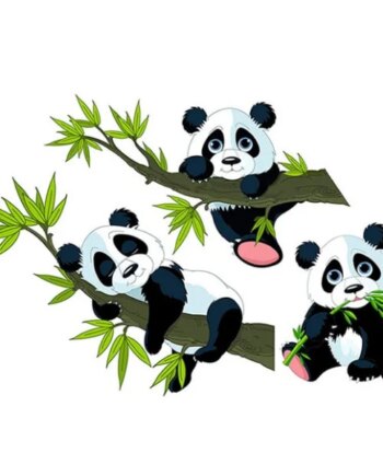Panda Wallsticker  Tre Super Søde Pandaer  40x60cm