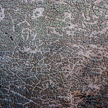 Past Times Wall Af Kirsten Stigsgaard