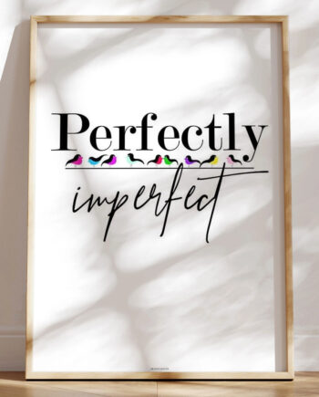 Perfectly Imperfect Birds Plakat