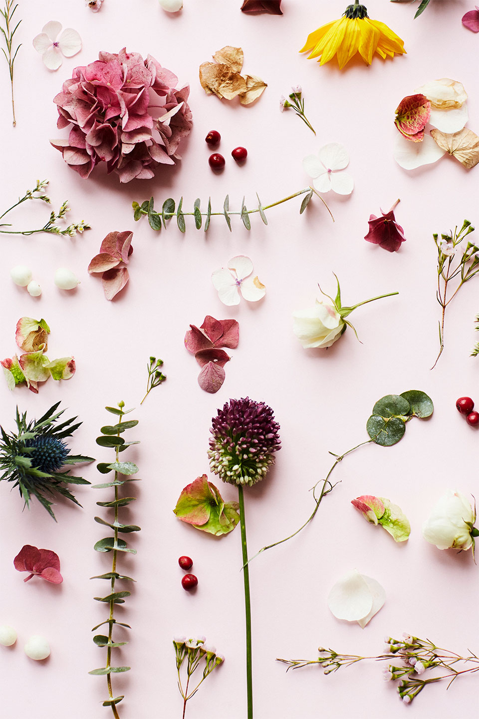 Pink Flower Af Camilla Schmidt