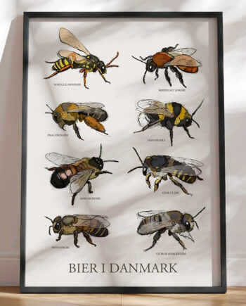 Plakat Med Bier   Håndtegnede Danske Bier