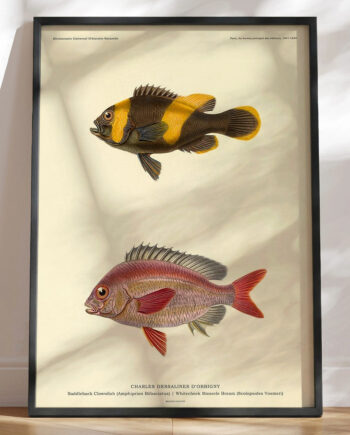 Plakat Med Fisk Charles Dessalines