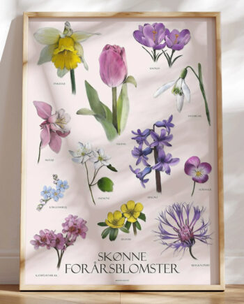Plakat Med Forårsblomster 12 Håndtegnede Blomster