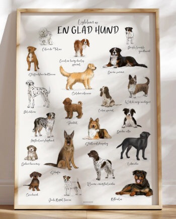 Plakat Med Hunderacer 20 Dejlige  Og Håndtegnede  Hunde
