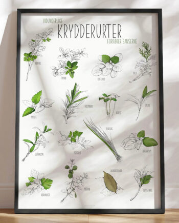 Plakat Med Krydderurter 16 Grønne Urter Til Madlavningen