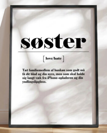 Plakat Med Sjov Definition Af Søster
