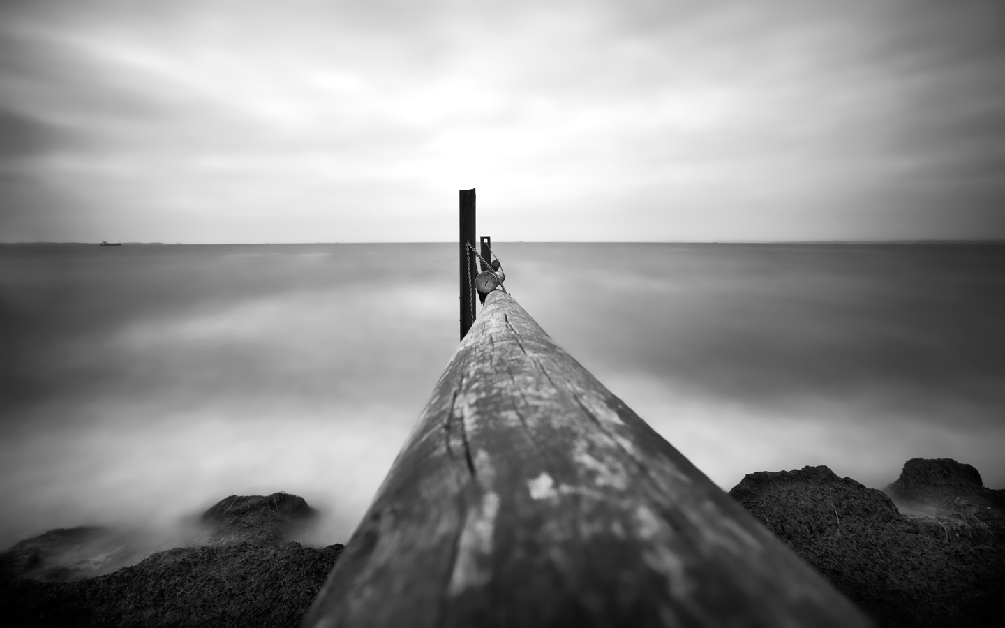 Poles Af Gustavo Orensztajn