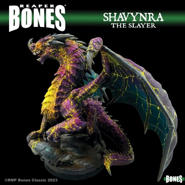 Reaper Bones Classic: Shavynra The Slayer Huge Dragon Plastic Miniature Deluxe Boxed Set