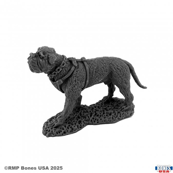 Reaper Bones Usa Reaper Legends: Garr War Dog Plastic Miniature