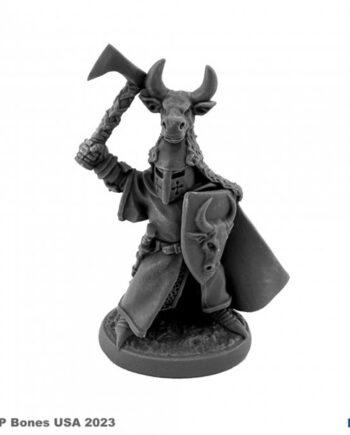Reaper Bones Usa Reaper Legends: Sir Guy The Red Plastic Miniature