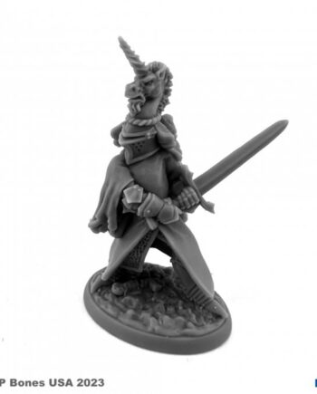 Reaper Bones Usa Reaper Legends: Sir Richard The White Plastic Miniature