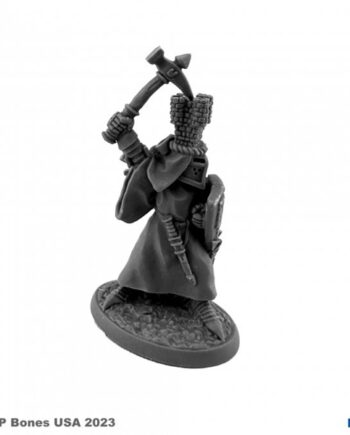 Reaper Bones Usa Reaper Legends: Sir Roland The Grey  Plastic Miniature