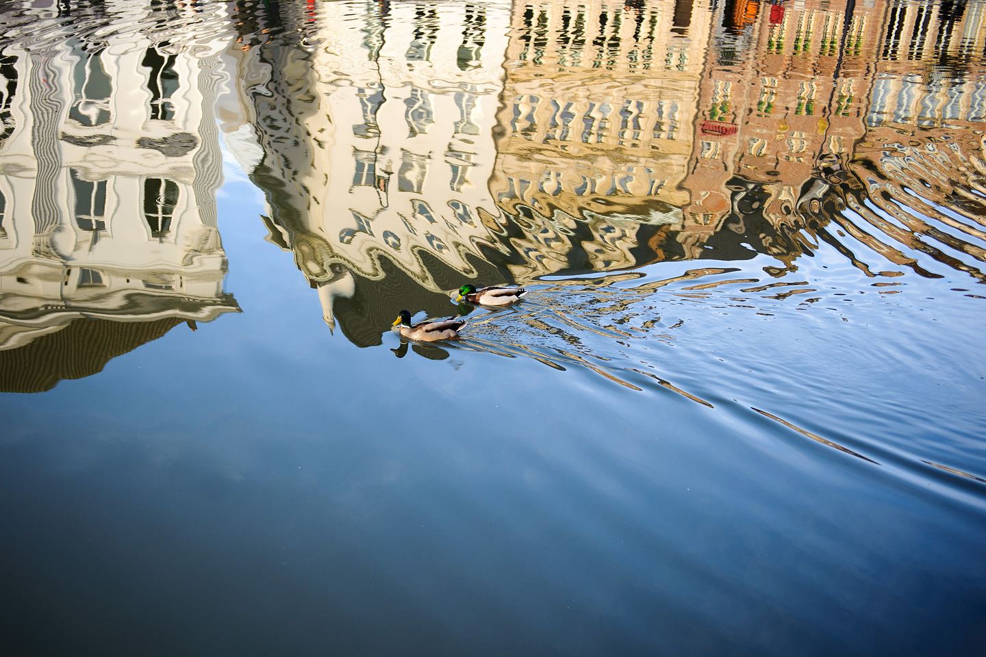 Reflection In Ghent Af Julie Aucoin