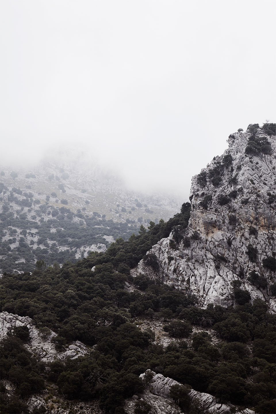 Sa Calobra No    Af Camilla Schmidt