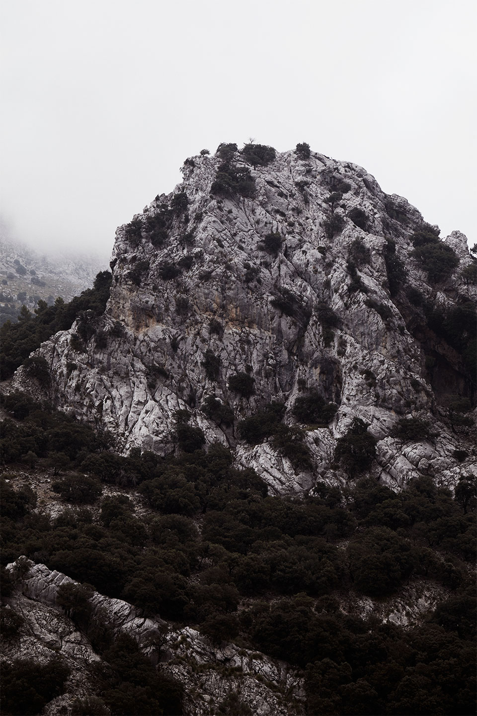 Sa Calobra No    Af Camilla Schmidt