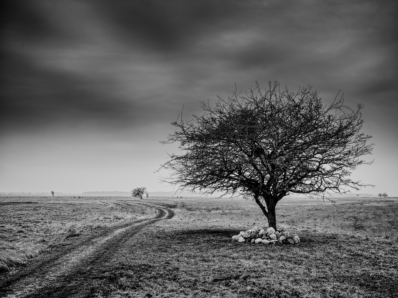 Side Of The Road Af Jakob Evers