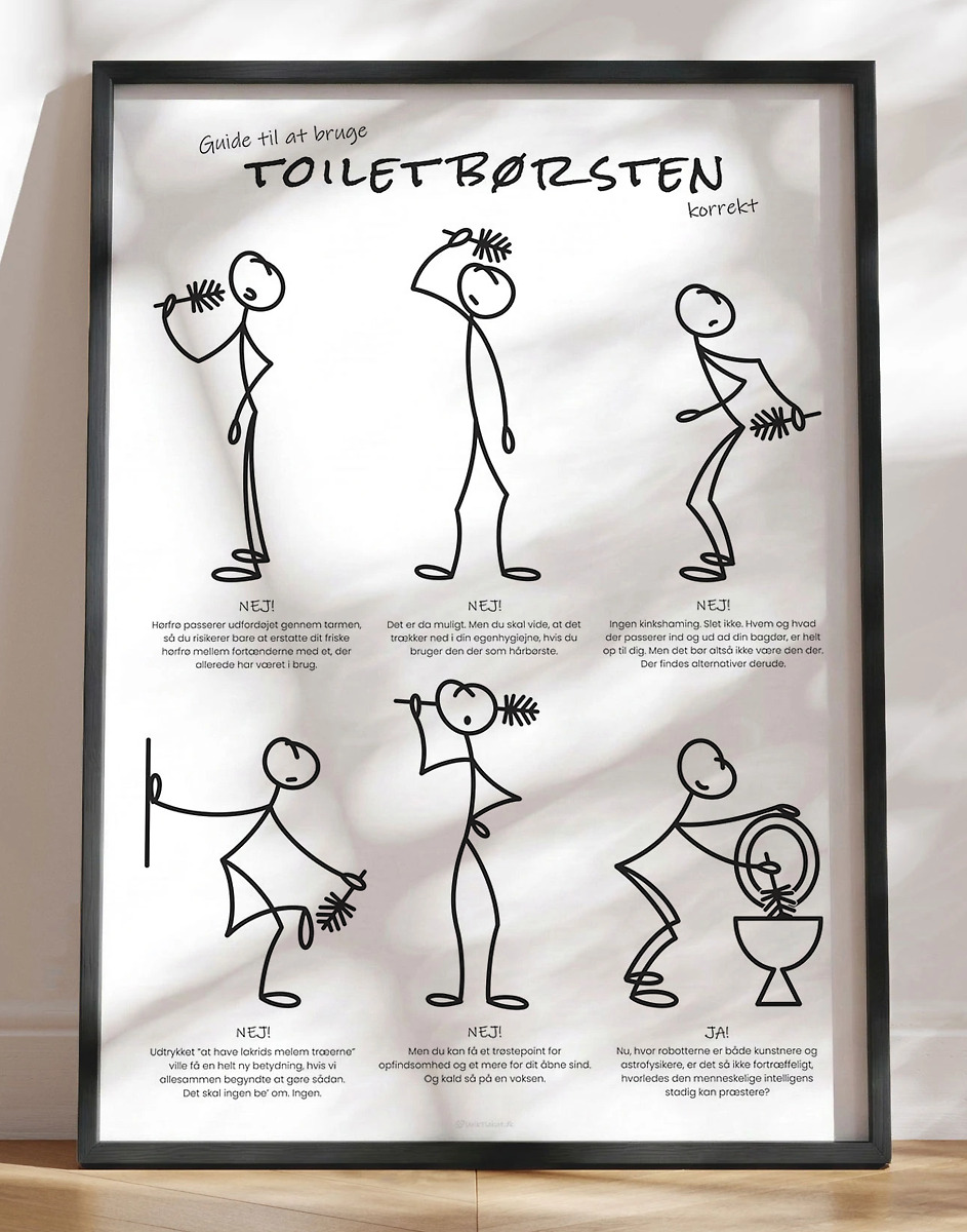 Sjov Plakat Til Toilettet Guide Til Toiletbørsten