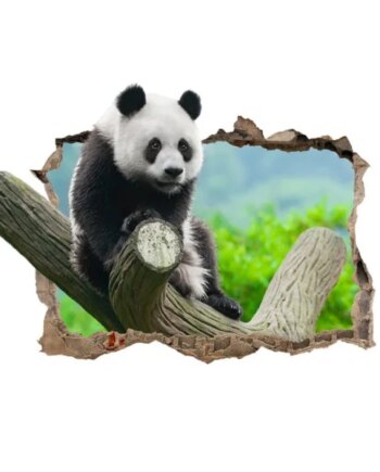 Sød Panda Wallsticker  Hul   Væggen  50x70cm