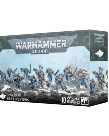 Space Wolves Grey Hunters  2025  99120101433