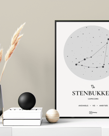 Stenbukken Stjernetegn Plakat Hvid 60 84 Cm  A1
