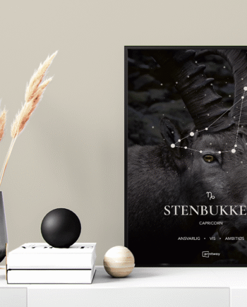 Stenbukken Stjernetegn Plakat Motiv 60 84 Cm  A1