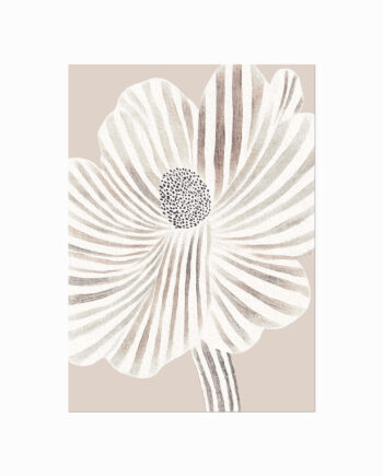 Striped Flower