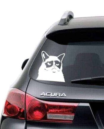 Sur Kat Wallsticker