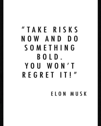 Take Risks Now Elon Musk Plakat
