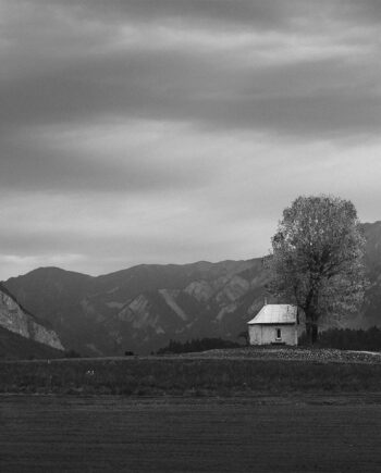 The Lonely House And Tree Af Rasmus Gundorff Sæderup