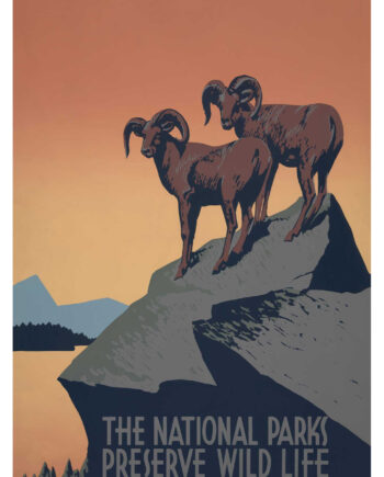 The National Parks Af Vintage Vista Designs