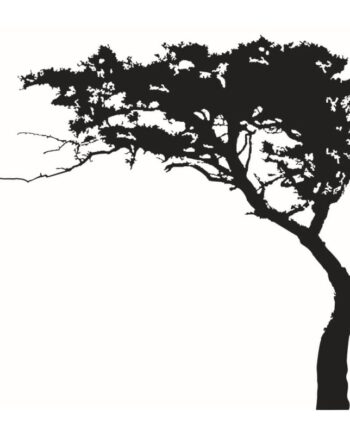Træ Wallsticker Med Et Stort Flot Træ   Bonsai Stil  180x220cm