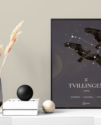 Tvillingen Stjernetegn Plakat Motiv 60 84 Cm  A1