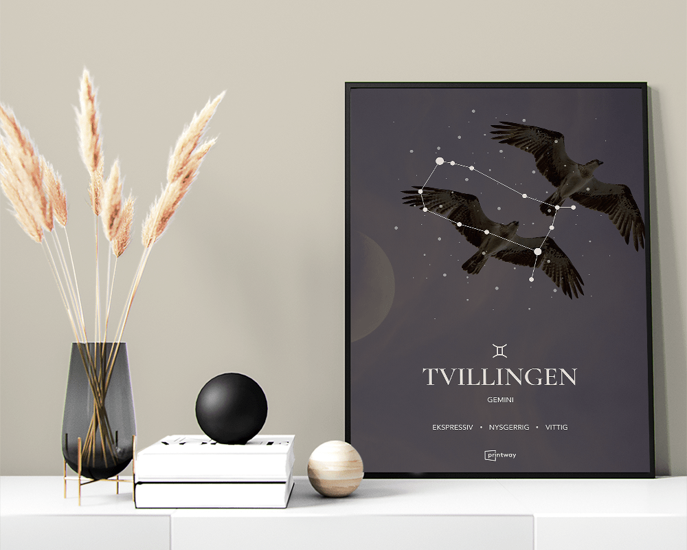 Tvillingen Stjernetegn Plakat Motiv 60 84 Cm  A1