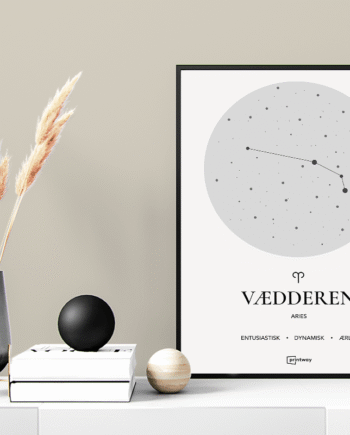 Vædderen Stjernetegn Plakat Hvid 50 70 Cm  B2