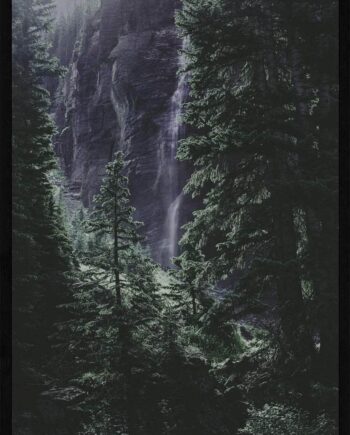 Vandfald   Skoven Plakat