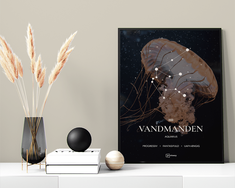 Vandmanden Stjernetegn Plakat Motiv 70 100 Cm  B1